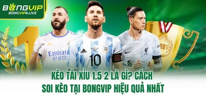 Kèo Tài Xỉu 1.5 2 Là Gì? Cách Soi Kèo Tại Bongvip Hiệu Quả Nhất