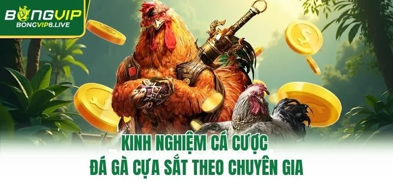 Kinh nghiệm cá cược đá gà cựa sắt theo chuyên gia