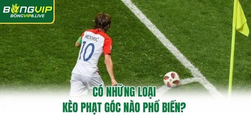 Có những loại kèo phạt góc nào phổ biến? 