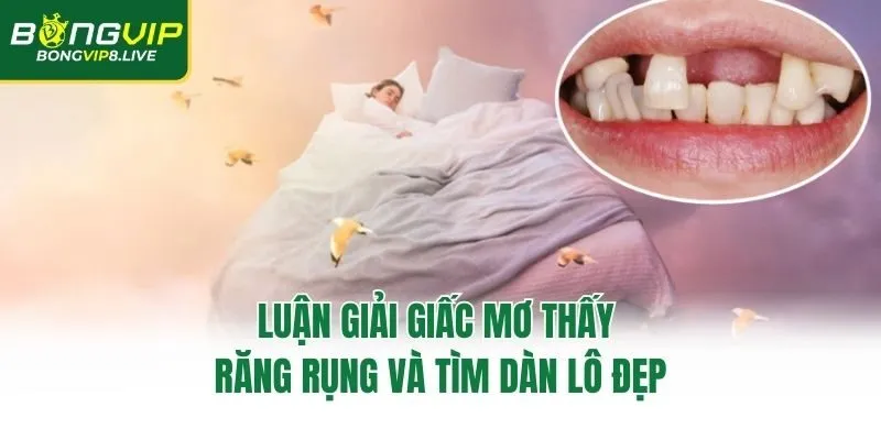 Luận Giải Giấc Mơ Thấy Răng Rụng Và Tìm Dàn Lô Đẹp